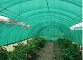 Shade Nets